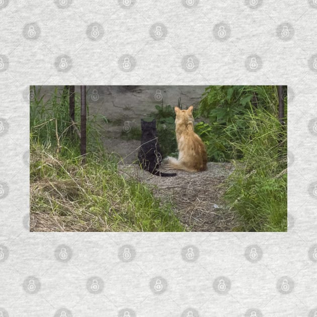 Ginger and black cats sit side by side in the grass and look from the stairs. View from the back by EvgeniiV